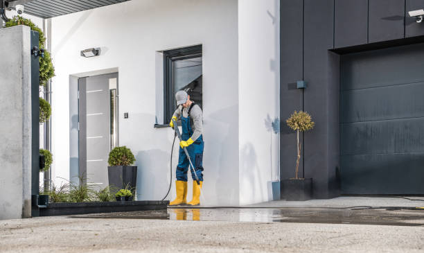 Best Solar Panel Cleaning  in Sumrall, MS